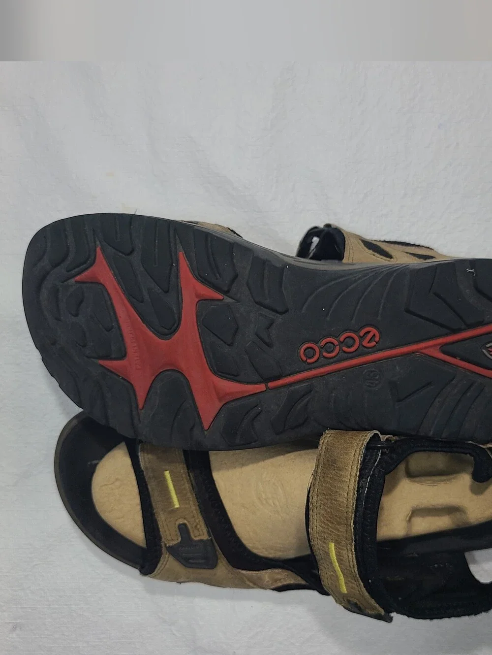 Ecco mens yucatan